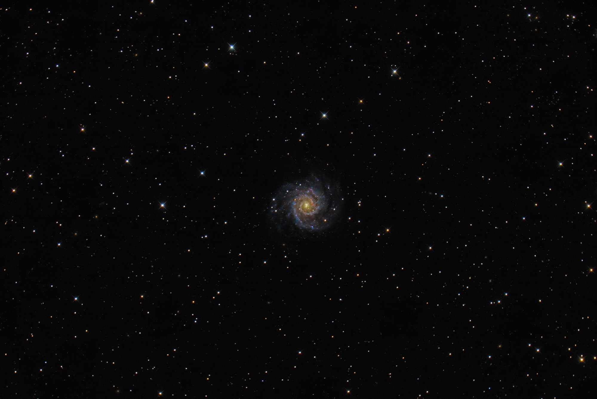 Messier 74 Spektrum der Wissenschaft